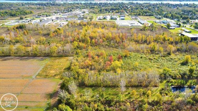 Primary Photo Of 6210 King Rd, Marine City Land For Sale