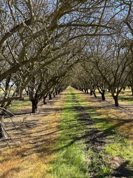 More Photos Of 13120 S Highway 99, Manteca Land For Sale