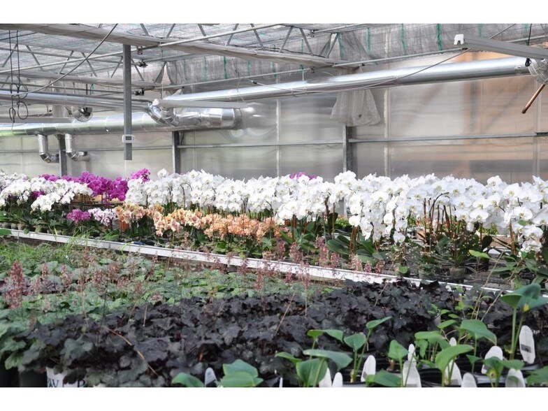 More Photos Of 1274 Dryden Rd, Ithaca Garden Center For Sale