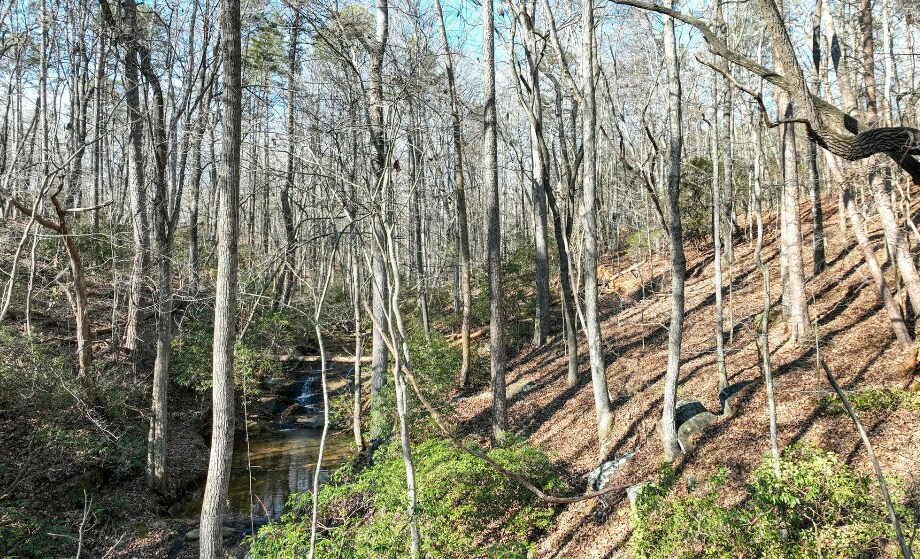 More Photos Of 9384 Skitts Mountain Dr, Lula Land For Sale