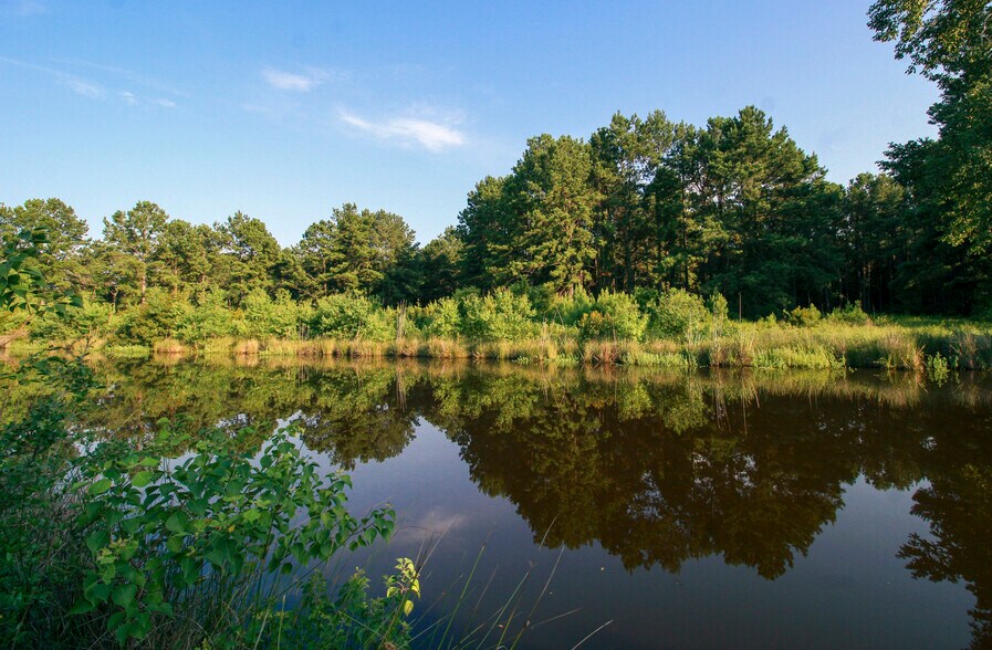More Photos Of 386 County Road 784, Buna Land For Sale