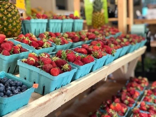 More Photos Of 179 Sandwich Rd, Wareham Garden Center For Sale