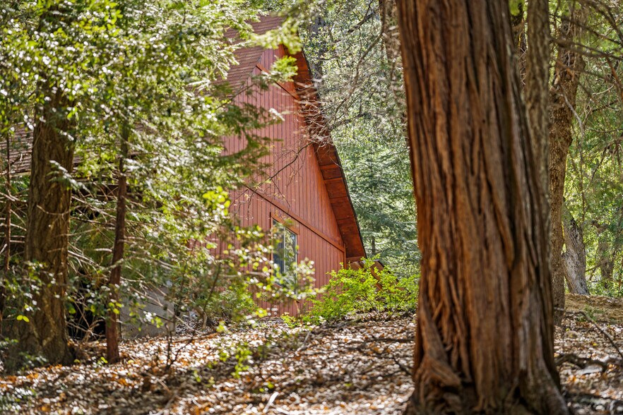 More Photos Of Palomar Divide Truck Trail, Palomar Mountain Land For Sale
