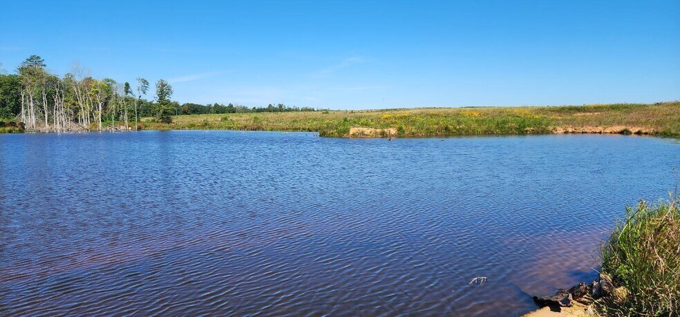 More Photos Of Glenmore Road, Scottsville Land For Sale