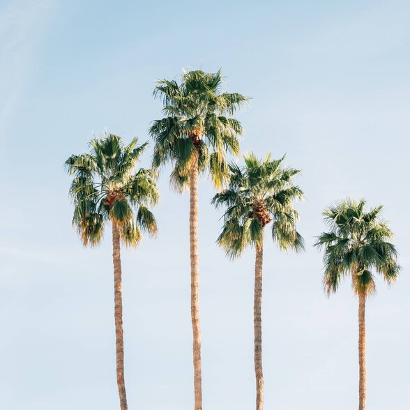 More Photos Of 1797-1801 Shattuck Ave, Berkeley Apartments For Lease