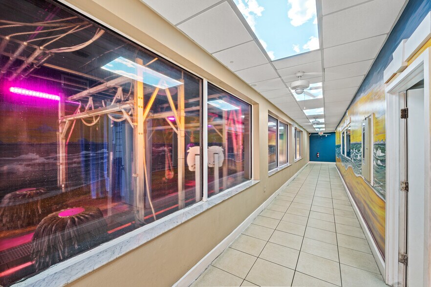 More Photos Of ,  Specialty For Sale