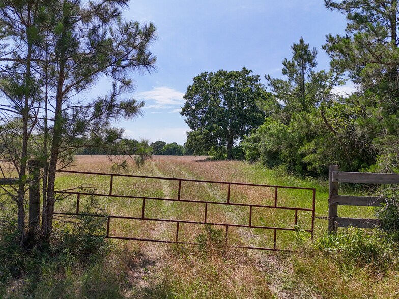 Primary Photo Of 20435 FM 1791, Richards Land For Sale