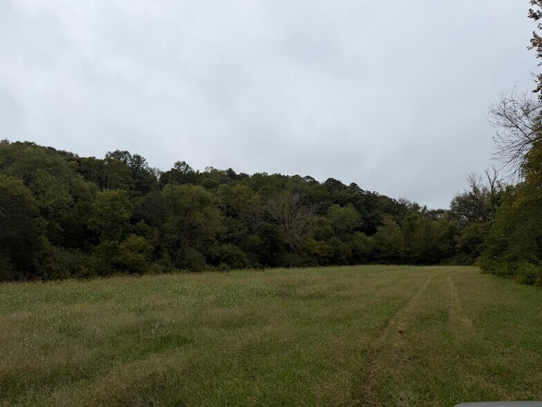 More Photos Of 0 County Road 60, Heflin Land For Sale