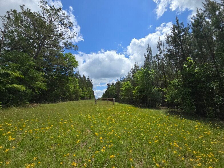 More Photos Of Davis Lake Rd @ Old Talbotton Rd, Thomaston Land For Sale