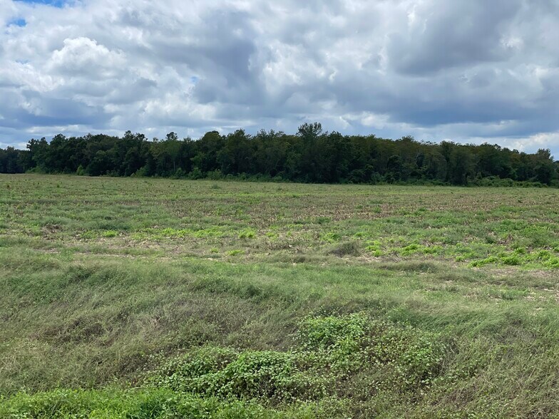 More Photos Of 5700 Pine Forest Rd, Walnut Hill Land For Sale
