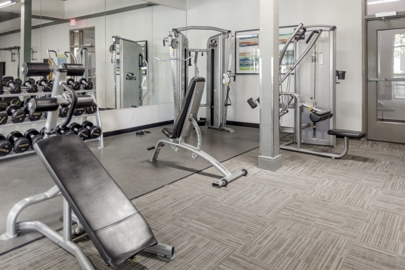 More Photos Of 2717 S Lamar Blvd, Austin Apartments For Lease