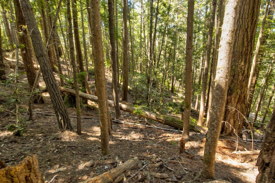 More Photos Of 33170 Frog Pond rd, Little River Land For Sale