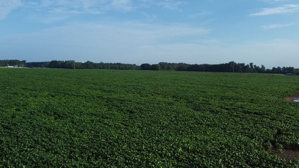 More Photos Of Hwy 9 @ Beauty Spot Rd, Bennettsville Land For Sale