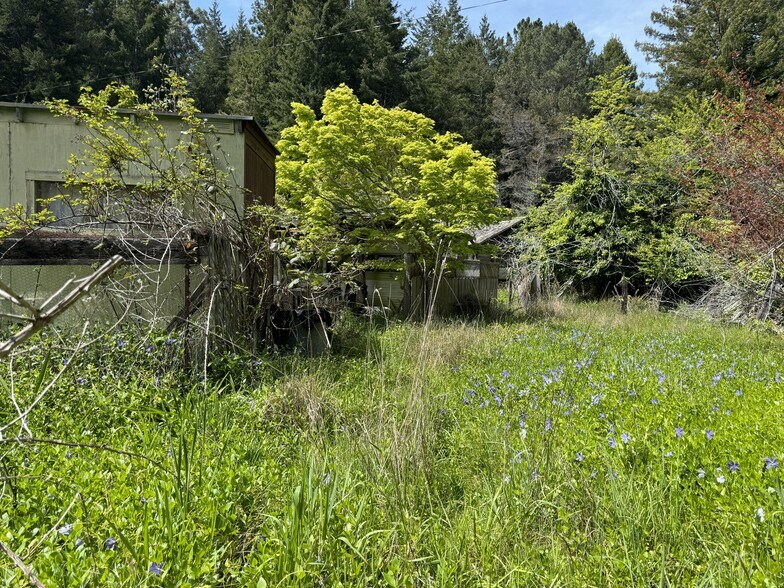 More Photos Of 23501 Branscomb Rd, Westport Land For Sale