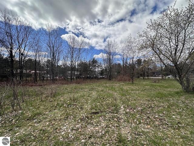 More Photos Of 00 Thayer Ln, Bellaire Land For Sale