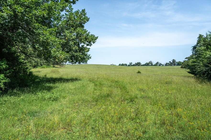 More Photos Of 00 County Road 4501, Jacksonville Land For Sale