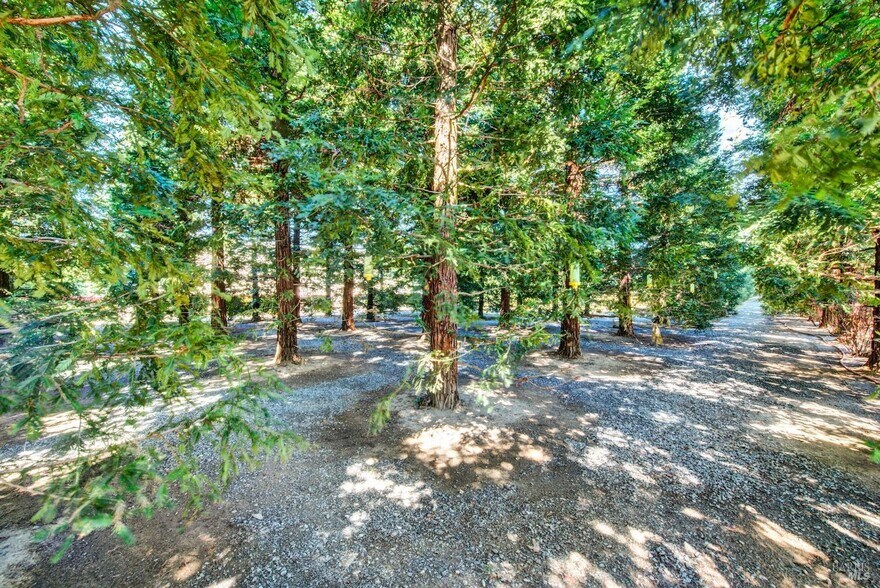 More Photos Of 5050 Melissa Ln, Vacaville Light Manufacturing For Sale