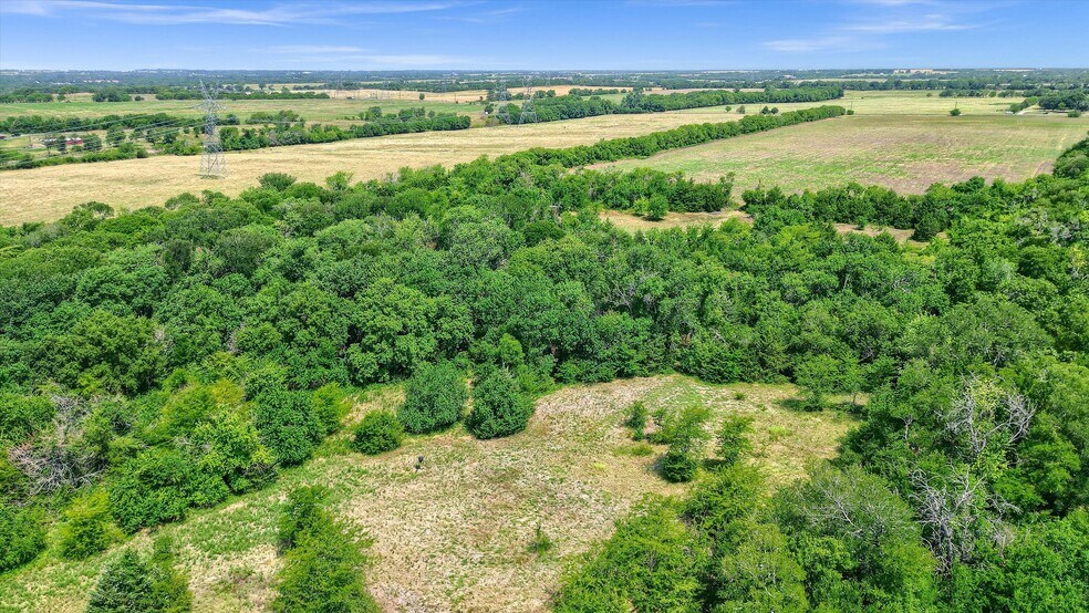 More Photos Of 51.626 AC FM 455 w, Celina Land For Sale