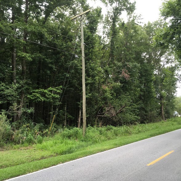 Primary Photo Of 692 Bear Swamp Rd, Johns Island Land For Sale