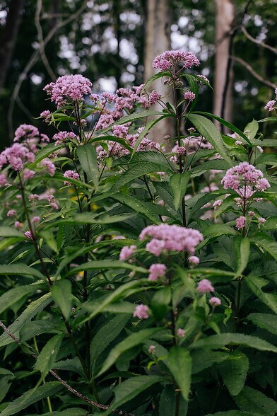 More Photos Of 935 State Route 313, Cambridge Hotel For Sale