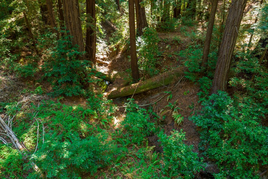 Primary Photo Of 2372 McKenzie Creek rd, Scotts Valley Land For Sale