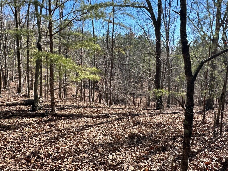 More Photos Of 3472 Prior Station Rd, Cedartown Land For Sale