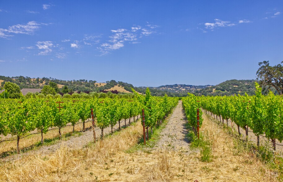 More Photos Of 179 Pleasant Ave, Santa Rosa Land For Sale