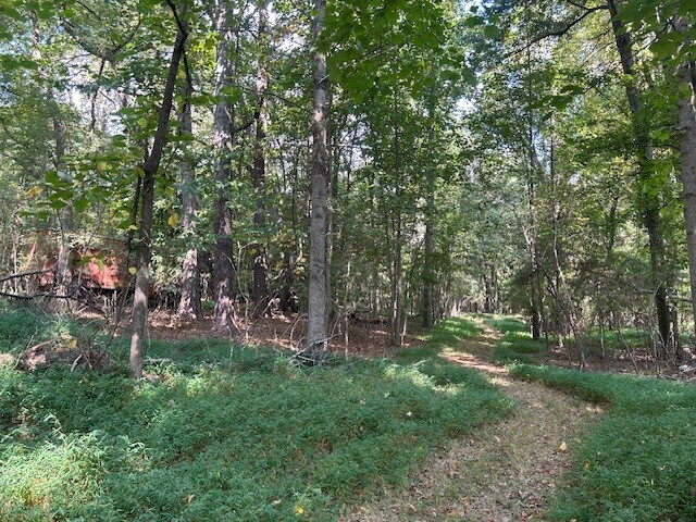 More Photos Of 4349 Abbotts Bridge Rd, Duluth Land For Sale