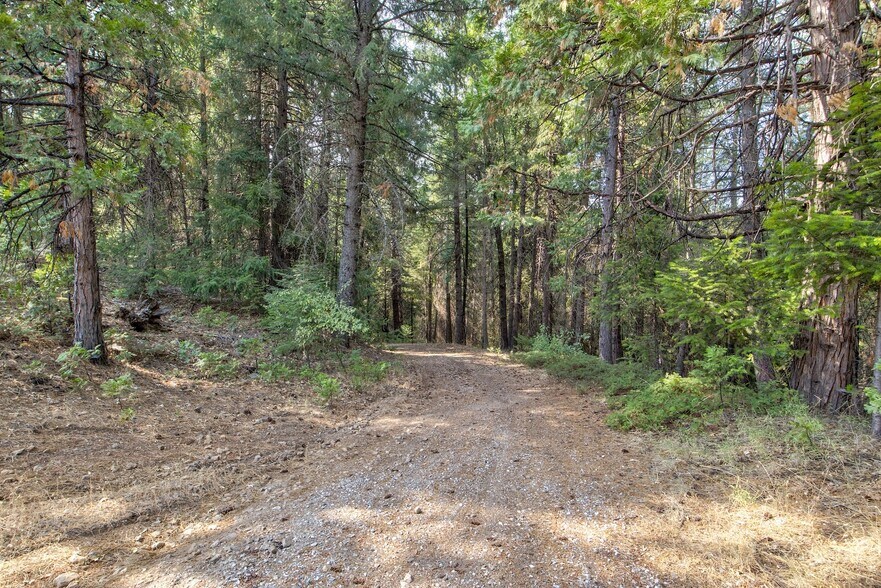 More Photos Of Mountain Dew Lane, Somerset Land For Sale