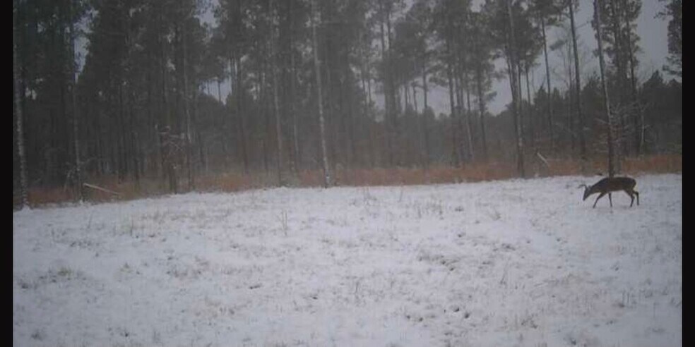 More Photos Of 92 Lillian Strong rd, Carlton Land For Sale