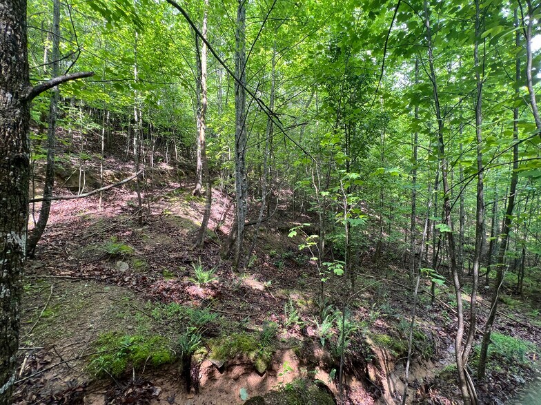 More Photos Of 395 Able rd, Waleska Land For Sale