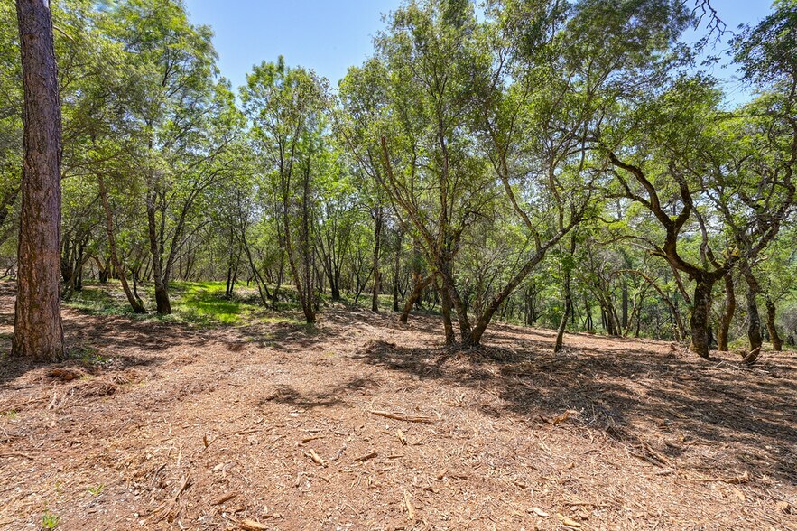 More Photos Of 10650 Werner Rd, Auburn Land For Sale