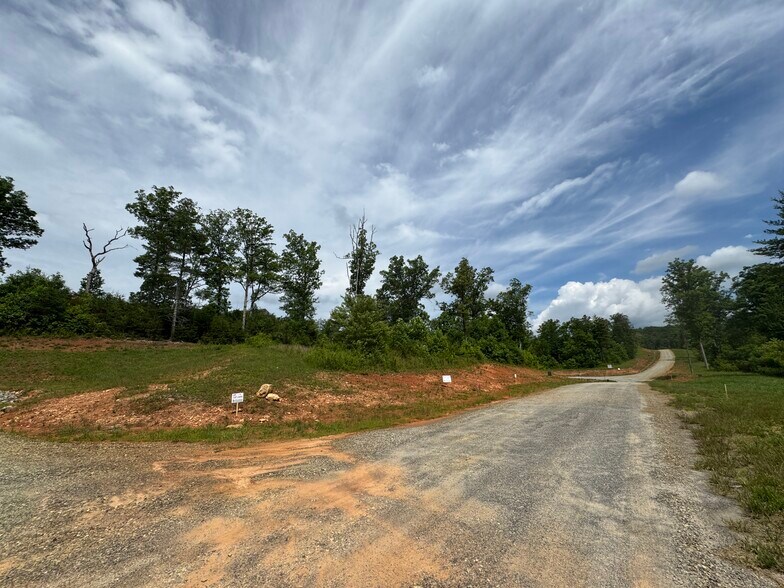 More Photos Of Hwy 515, Morganton Land For Sale