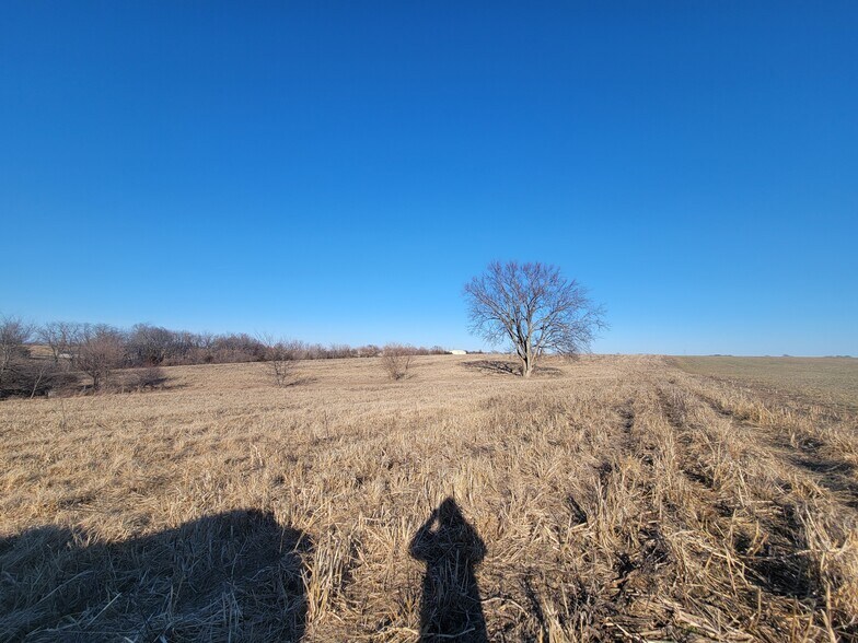 More Photos Of 171 Windy Hill Rd. (20+/- Acres), Elsberry Land For Sale