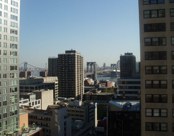 More Photos Of 116 Nassau St, New York Office For Lease