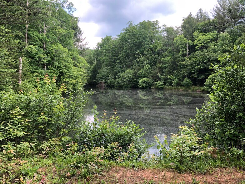 More Photos Of Ridgewood Dr, Blue Ridge Land For Sale