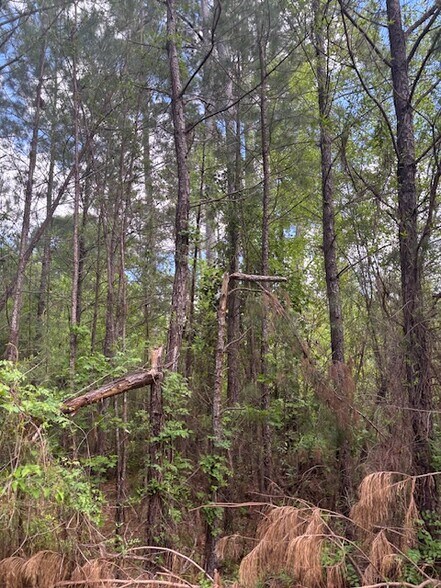 More Photos Of 0 New Bethel Church Rd, Fitzgerald Land For Sale