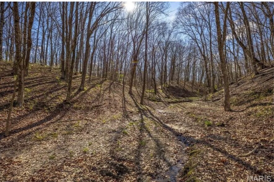 More Photos Of 6959 W Fellin Drive, Mount, Mount Olive Land For Sale