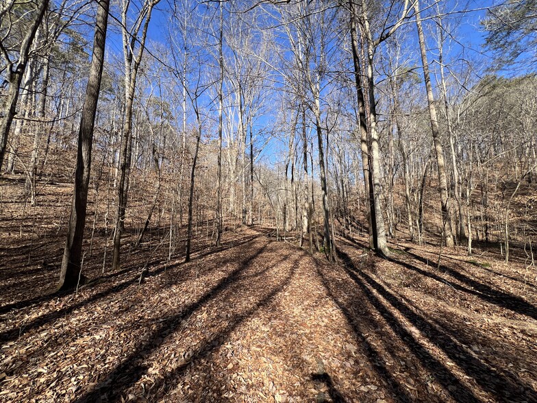 Primary Photo Of peachtree road, Rockmart Land For Sale