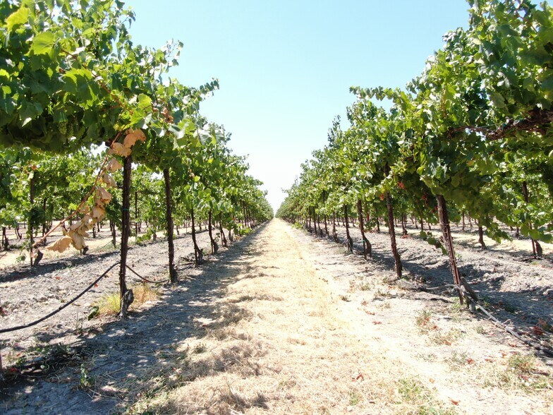 More Photos Of 48450 W Sutter Rd, Clarksburg Land For Sale