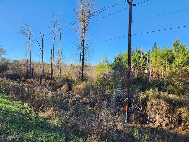 More Photos Of US 264A, Zebulon Land For Sale