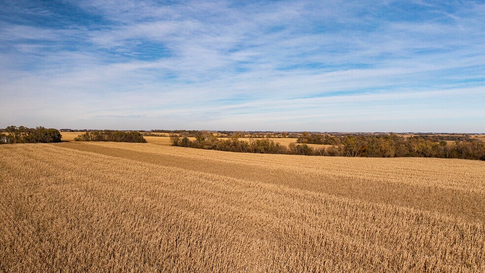 More Photos Of Hwy 63, Eagle Land For Sale