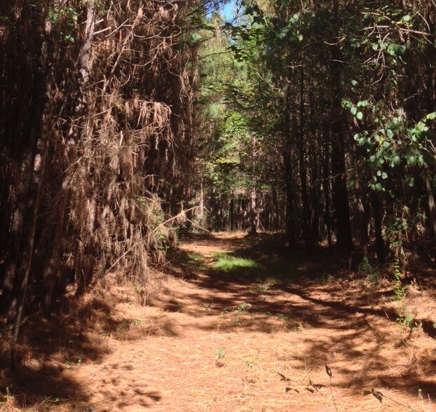 More Photos Of Hwy 98 & Illa Rd, Commerce Land For Sale