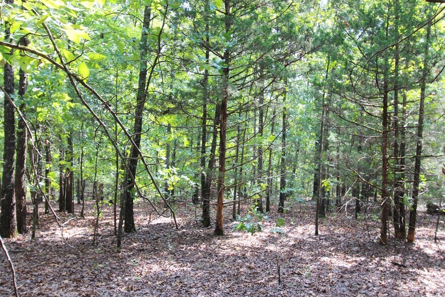 More Photos Of 226 Blythe rd, Greenbrier Land For Sale