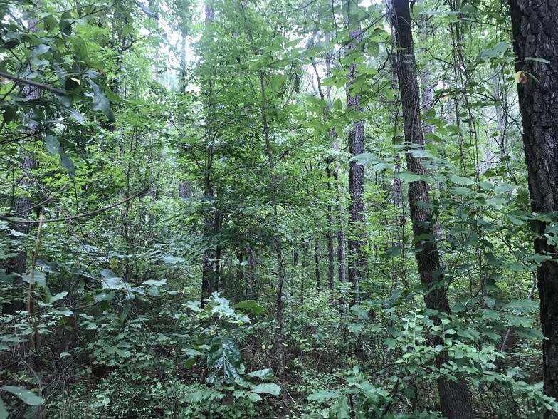 More Photos Of 138 E Highway At Lanier Xing, Stockbridge Land For Sale