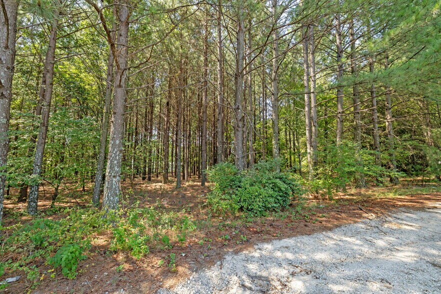 More Photos Of 1244 E Butler Rd, Greenville Land For Sale