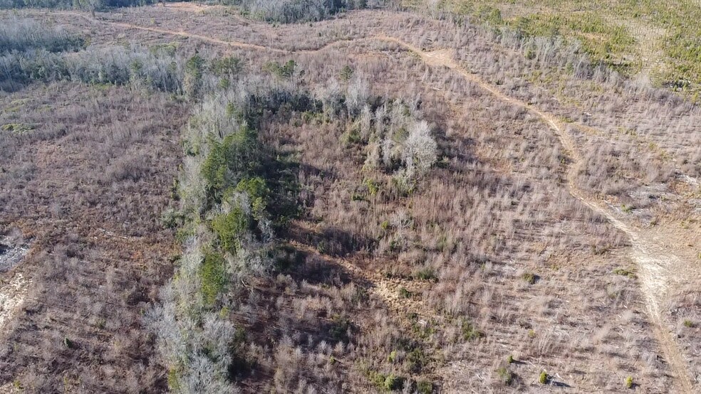 More Photos Of TBD South Carolina 38 Hwy, Bennettsville Land For Sale