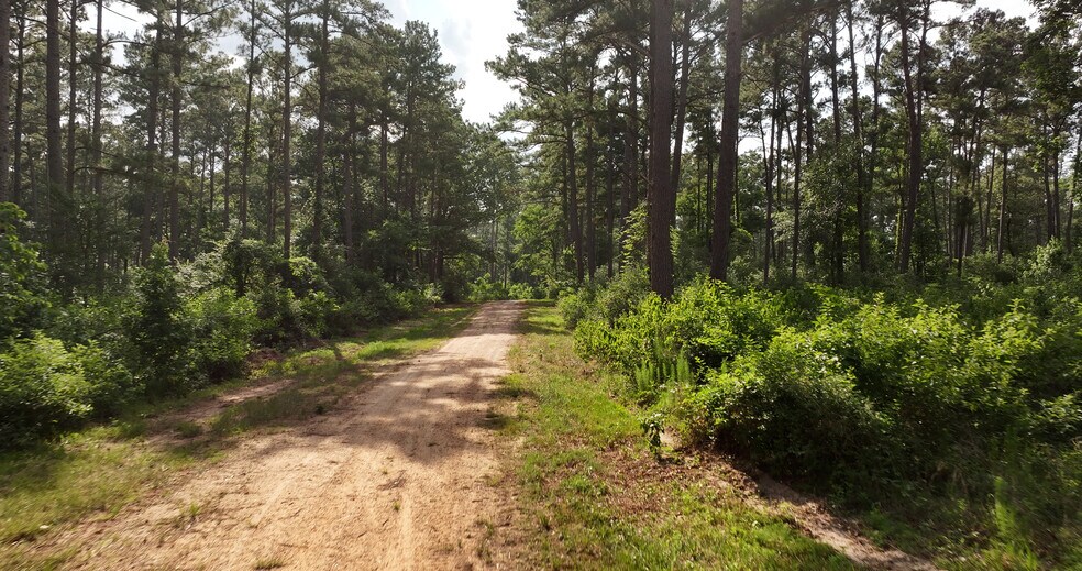More Photos Of 2268 FM 1486, Montgomery Land For Sale