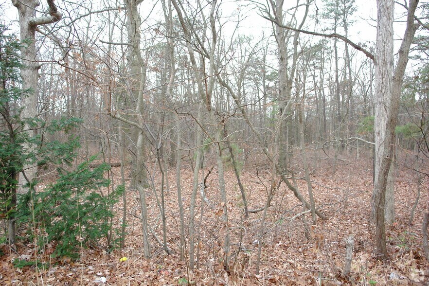 Primary Photo Of 6519 Black Horse Pike, Egg Harbor Township Land For Sale