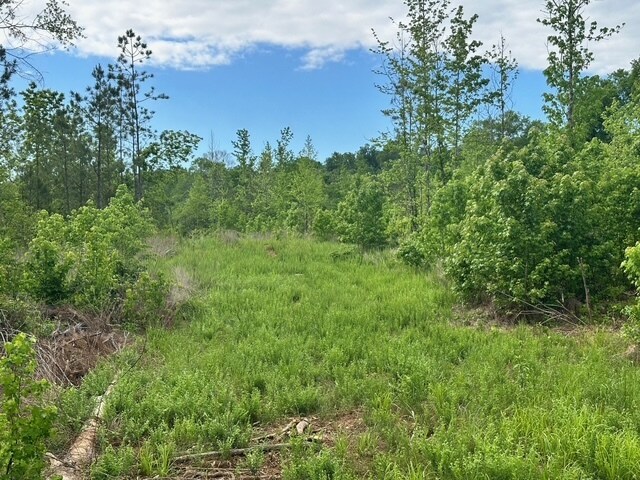 More Photos Of Satcher Road #4 Rd, Taylorsville Land For Sale